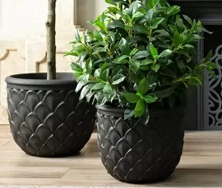 Глиняный большой горшок Mterra Leaves Jar