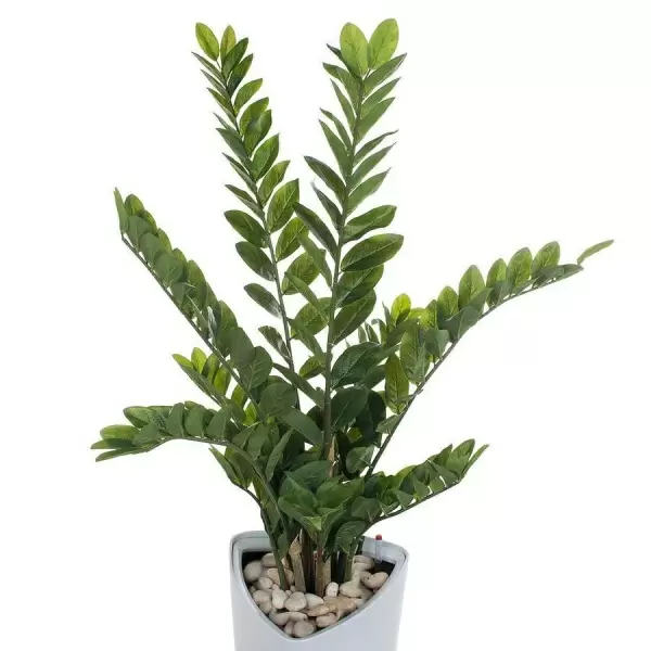 Растение искусственное Замиокулькас в горшке Crater Silk