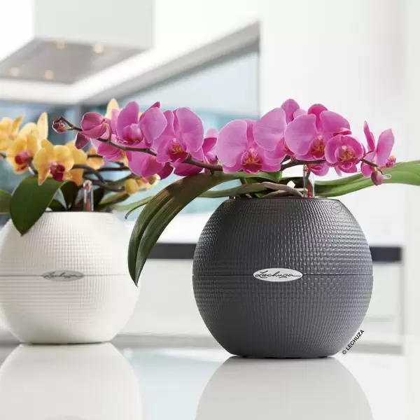 Кашпо Lechuza Puro Color