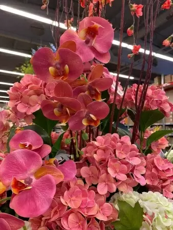 Гортензия силиконовая