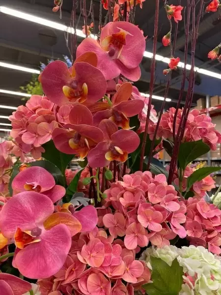 Фаленопсис силиконовый