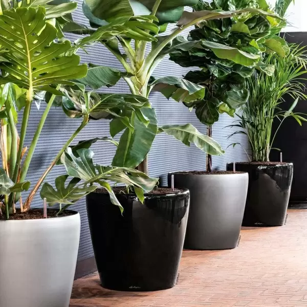 Кашпо Lechuza Classico LS