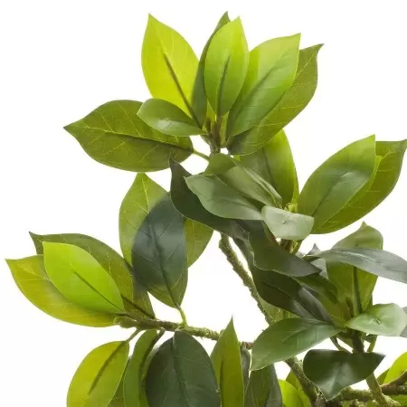 Дерево искусственное Фагрея