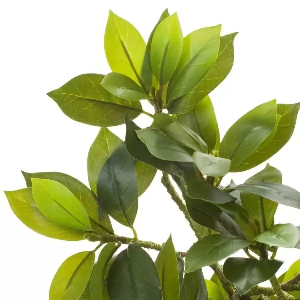 Дерево искусственное Фагрея