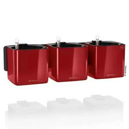 Настенное кашпо Lechuza Green Wall Home Kit Glossy