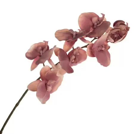 Фаленопсис искусственный 