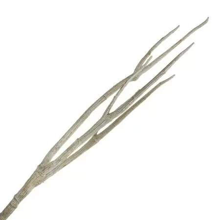 Борщевик ветка искусственная Борщевик ветка искусственная