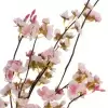 Сакура ветка искусственная