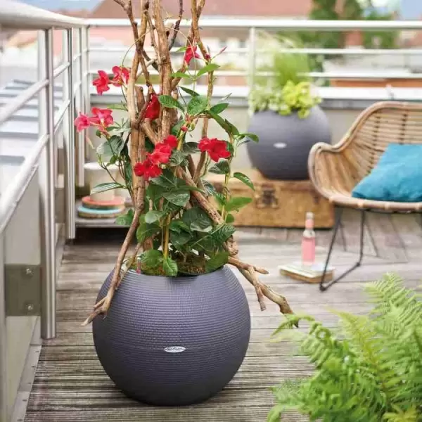 Кашпо Lechuza Puro Color Кашпо Lechuza Puro Color