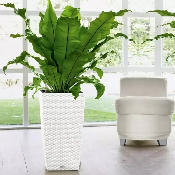 Кашпо Lechuza Cubico Cottage