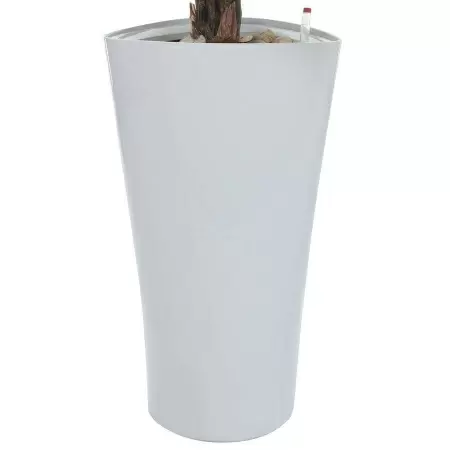 Растение искусственное Калатея в горшке Crater Silk