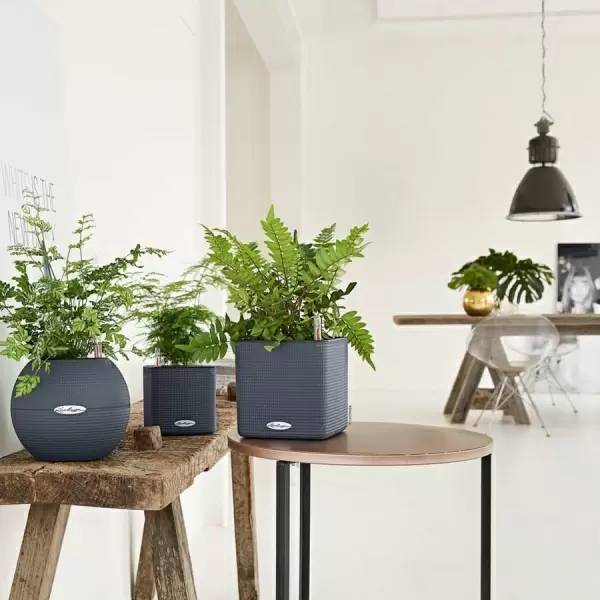 Кашпо Lechuza Puro Color