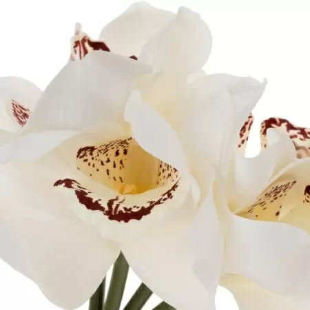 Букет орхидей