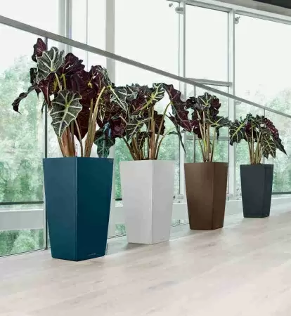 Кашпо Lechuza Cubico Premium Кашпо Lechuza Cubico Premium