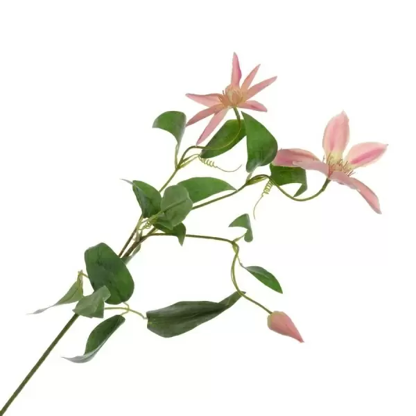 Клематис искусственный