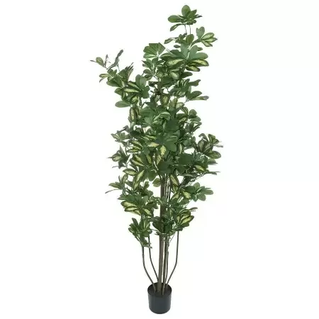 Искусственное дерево Шеффлера 