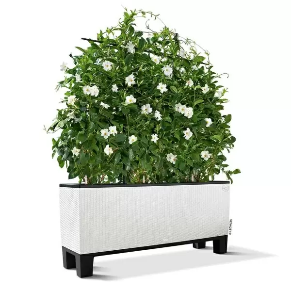 Тумба для Lechuza Trio Cottage