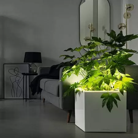 Кашпо Lechuza Canto Stone LED low Кашпо Lechuza Canto Stone LED low