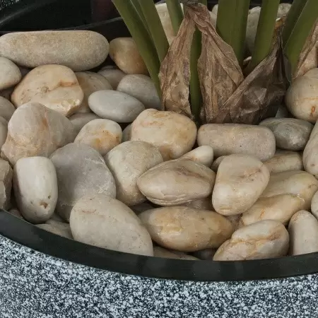 Растение искусственное Замиокулькас в горшке Vase Stone Растение искусственное Замиокулькас в горшке Vase Stone