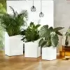 Кашпо Lechuza Cursivo Кашпо Lechuza Cursivo