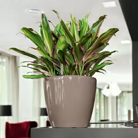 Кашпо Lechuza Classico LS Кашпо Lechuza Classico LS