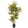 Кротон искусственное дерево