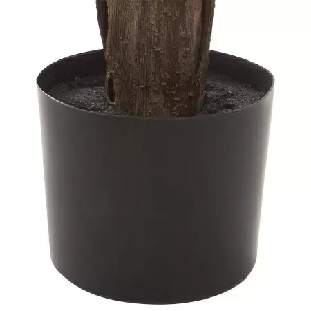 Стрелиция искусственная