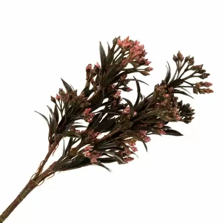 Гиперкиум искусственный