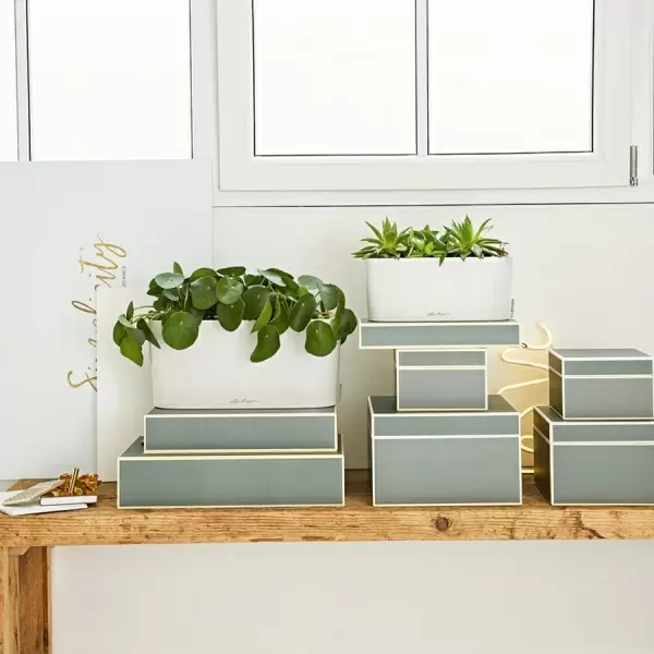 Кашпо Lechuza Delta 10