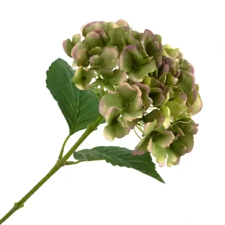 Гортензия искусственная