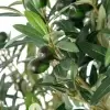 Олива дерево искусственное
