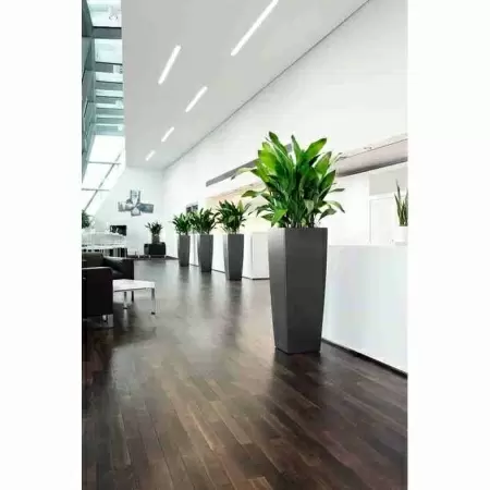 Фото Кашпо Lechuza Cubico Alto Кашпо Lechuza Cubico Alto