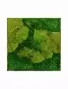 Панно из стабилизированного мха Moss painting Superline L