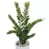 Растение искусственное Замиокулькас в горшке Vase Rib
