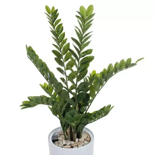 Растение искусственное Замиокулькас в горшке Vase Rib