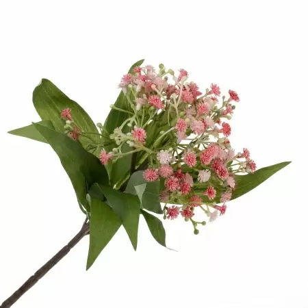 Весенник искусственный