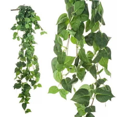 Эпипремнум искусственный