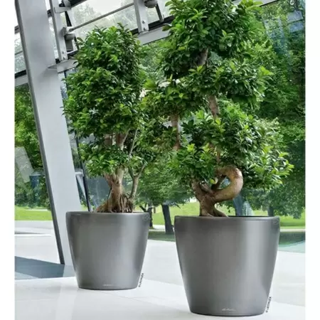 Кашпо Lechuza Classico LS