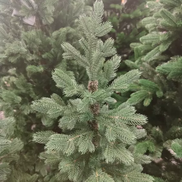 Ель искусственная Тикко