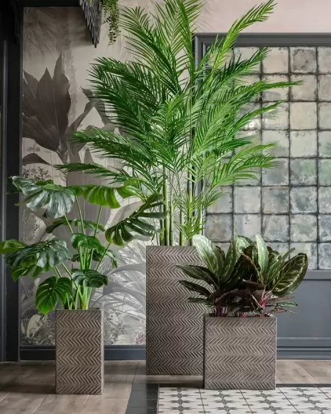 Высокий горшок Fossil wood Column Высокий горшок Fossil wood Column