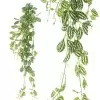 Фиттония ампельная искусственная Фиттония ампельная искусственная
