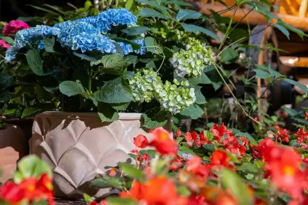 Глиняный большой горшок Mterra Leaves Jar Глиняный большой горшок Mterra Leaves Jar