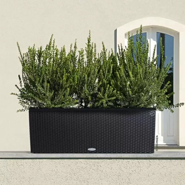 Кашпо Lechuza TRIO Cottage