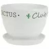 Кашпо White Cactus