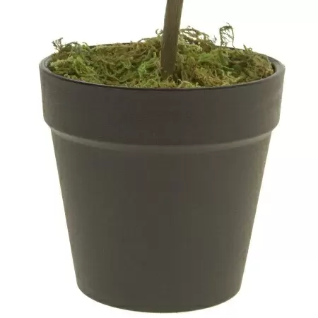 Кротон искусственное дерево