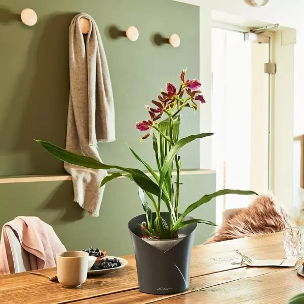 Кашпо Lechuza Orchidea