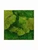Панно из стабилизированного мха Moss painting Stiel L