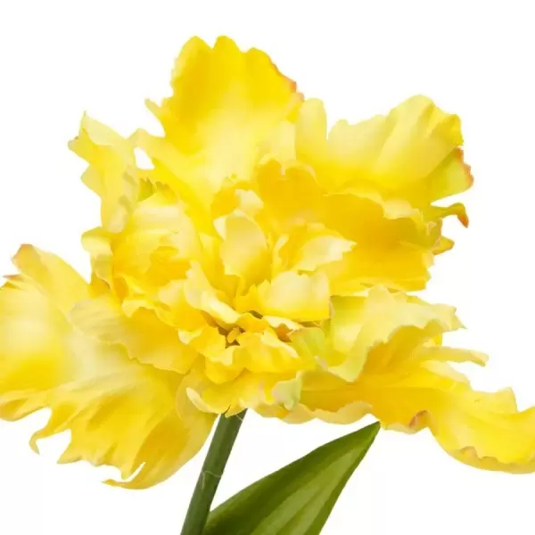 Тюльпан вывернутый искусственный Тюльпан вывернутый искусственный