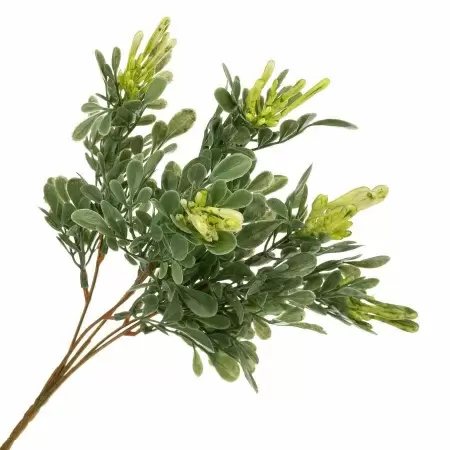 Барбарис искусственный