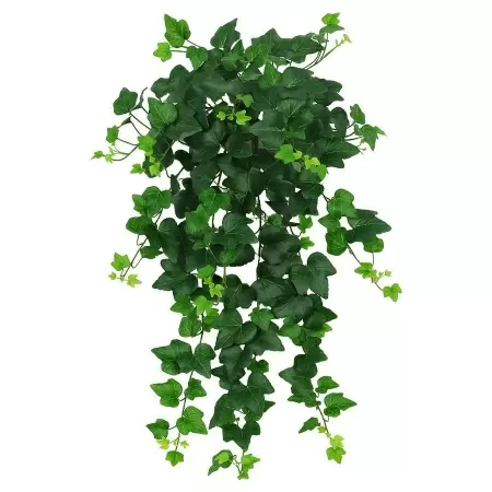 Искусственный Плющ пестрый